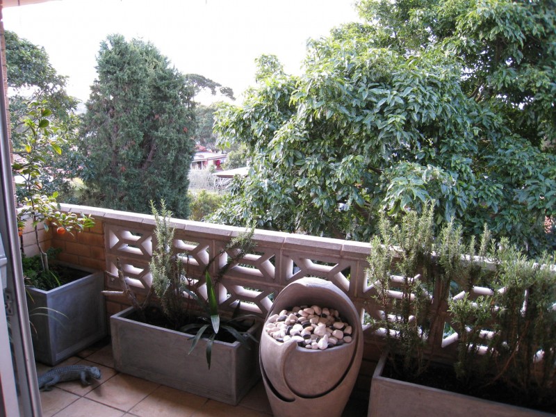 17/39 Wyuna Avenue, Freshwater NSW 2096