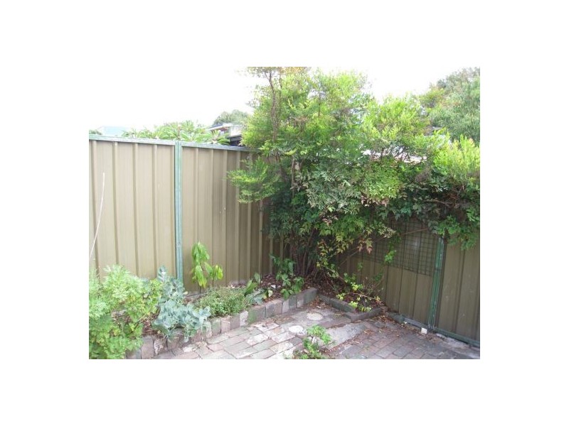 49 Kepos Street, Redfern NSW 2016