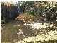 Point Vernon QLD 4655