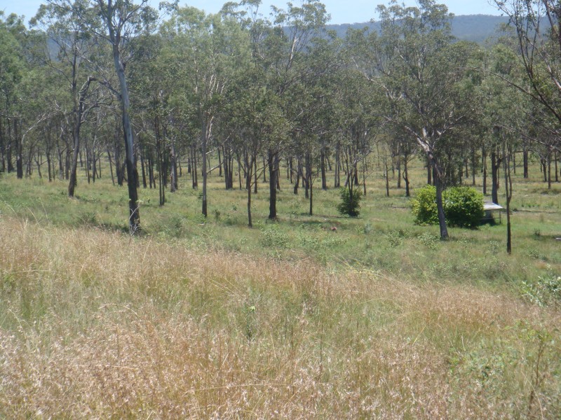 Takura QLD 4655