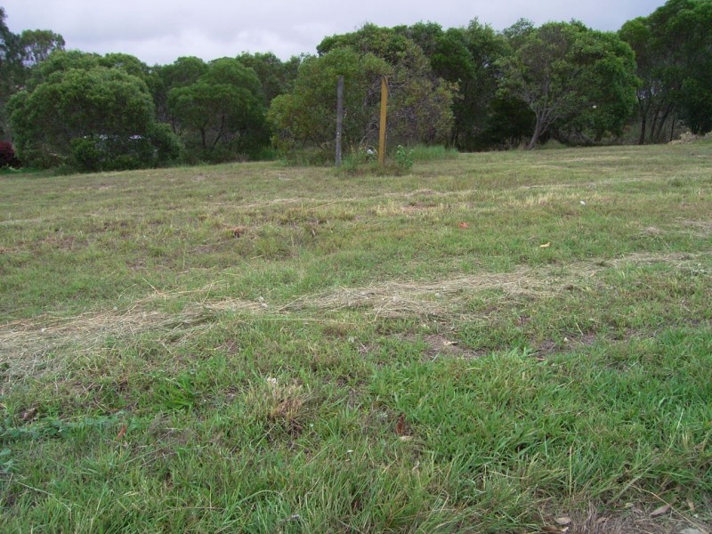 Kawungan QLD 4655