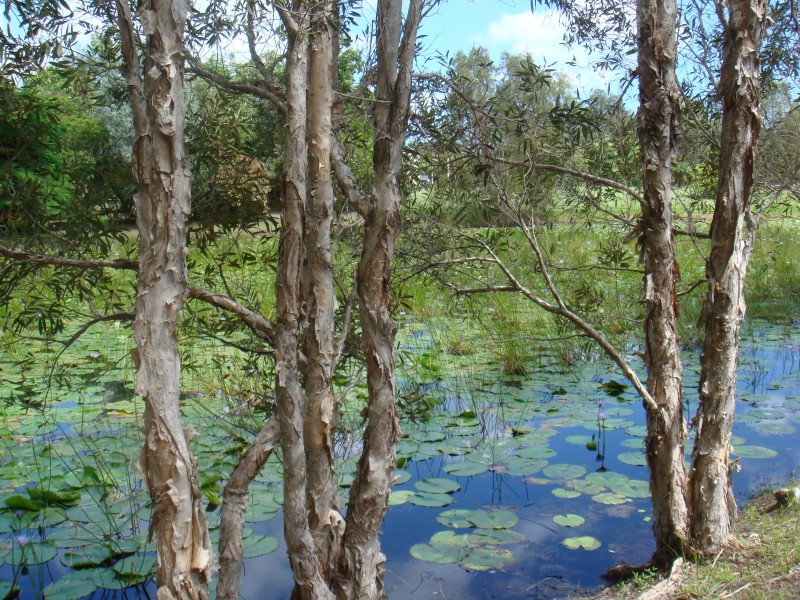 7 Rivina Crt, Dundowran Beach QLD 4655