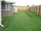 3 PEAT COURT, Wondunna QLD 4655