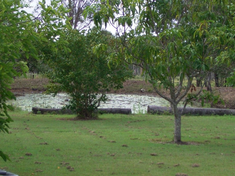 43 Carter Lane, Dundathu QLD 4650