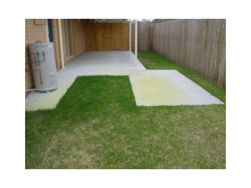 1 / 112 Bideford Street, Torquay QLD 4655