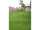 5 Colyton Street, Torquay QLD 4655