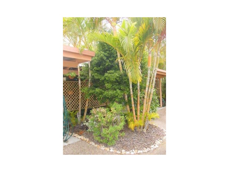 4 / 72 Winchelsea St, Pialba QLD 4655