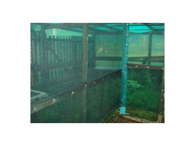 61 Rokeby Road, Booral QLD 4655