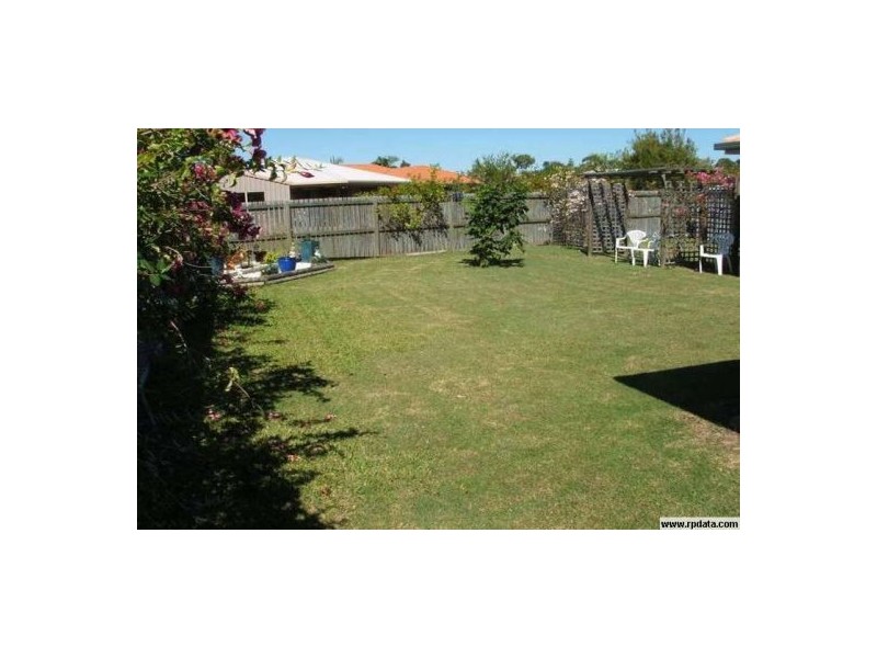 54 Bowerbird, Eli Waters QLD 4655