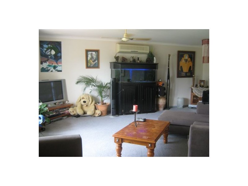 54 Bowerbird, Eli Waters QLD 4655