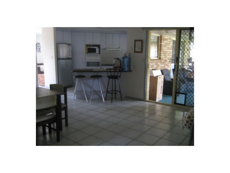 54 Bowerbird, Eli Waters QLD 4655