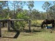 68 Sunnyside Drive, Susan River QLD 4655