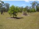 20 Barranjoey Dr, Sunshine Acres QLD 4655