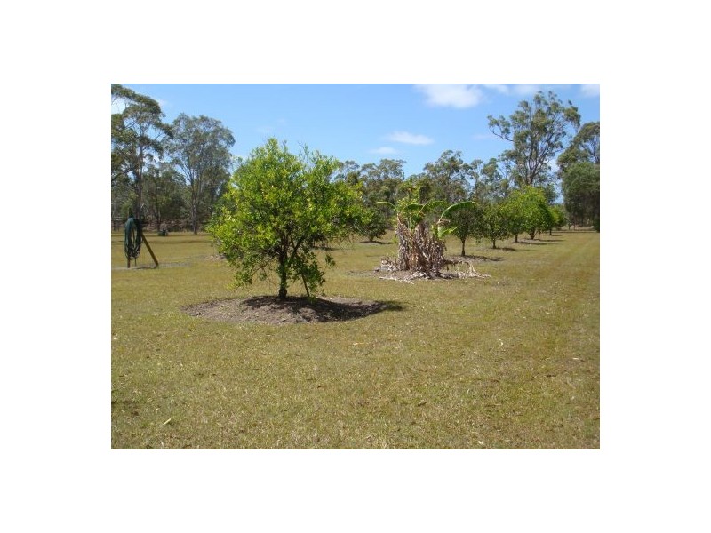 20 Barranjoey Dr, Sunshine Acres QLD 4655