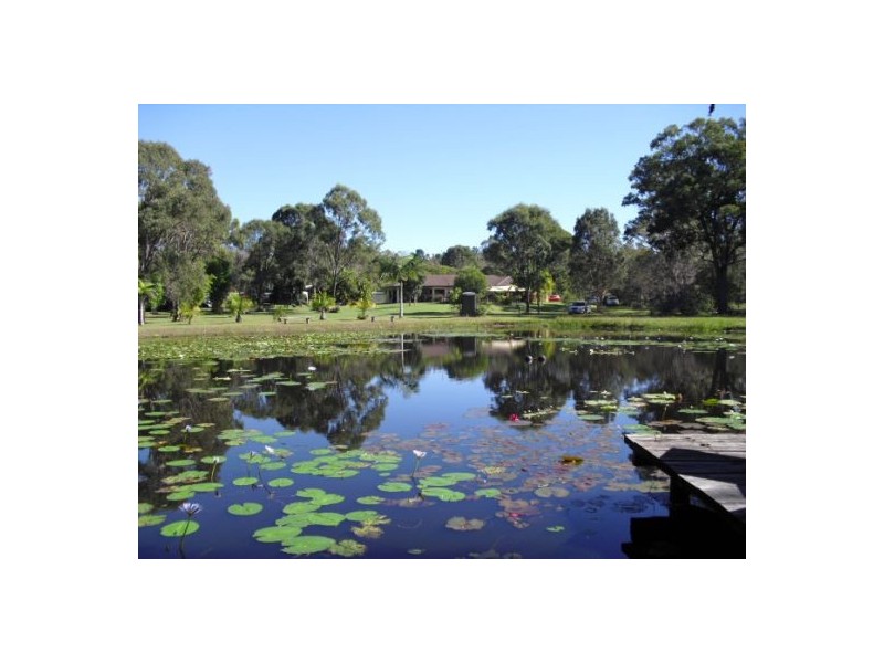 55 Pindari Crescent, Sunshine Acres QLD 4655