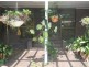 123 Esplanade, Point Vernon QLD 4655
