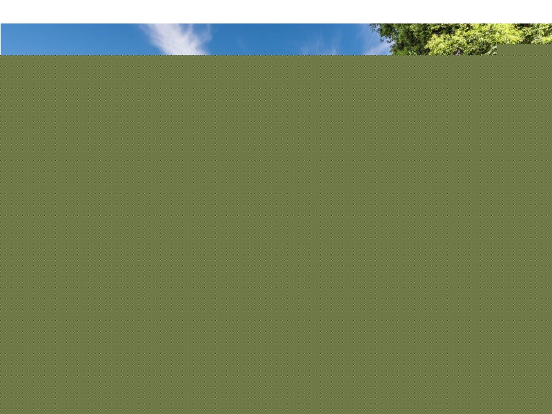 40A Newcastle Street, Hamilton North NSW 2292