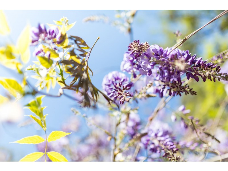 23 Ellerslie Road, Adamstown Heights NSW 2289