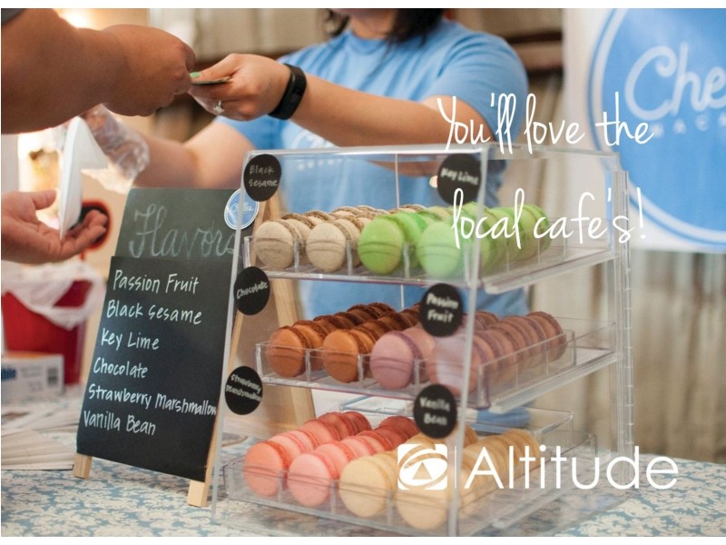 12 Nereida Close, Kotara NSW 2289