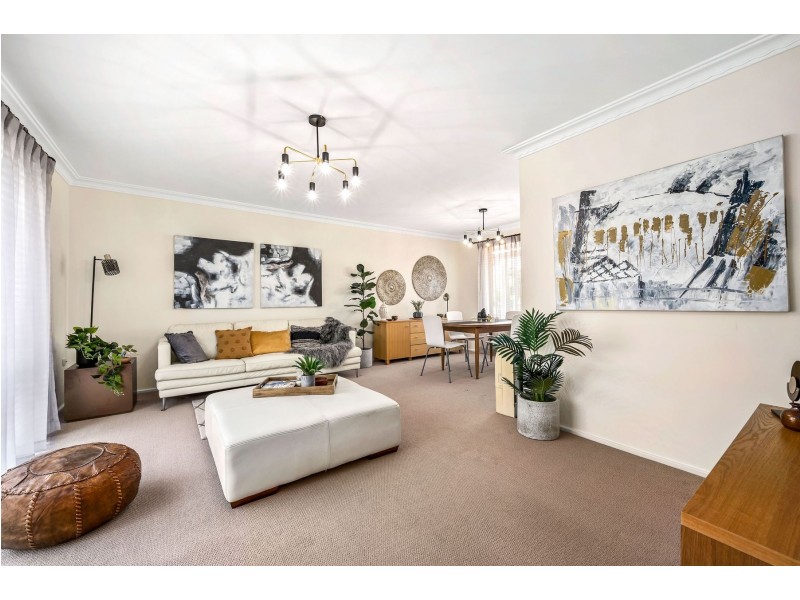 50 Lawson Road, Macquarie Hills NSW 2285