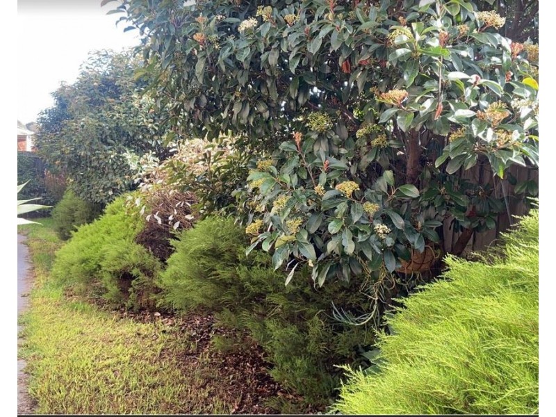 399 Mcgrath Rd Street, Wyndham Vale VIC 3024