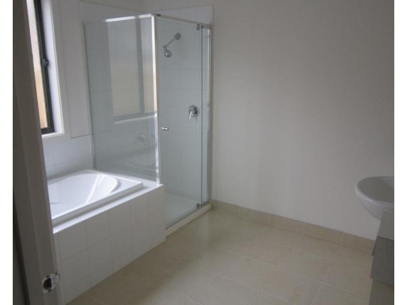 43 Springleaf Road, Tarneit VIC 3029