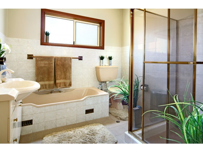 7 High Street, Strathfield NSW 2135