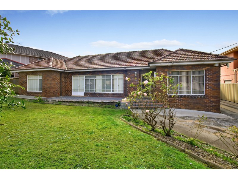 117 Newton Road, Strathfield NSW 2135