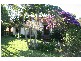 9 Marsh Avenue, Cronulla NSW 2230