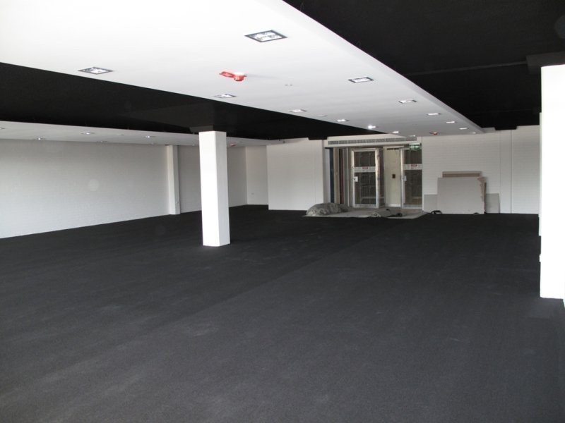 529 Elizabeth Street, Surry Hills NSW 2010