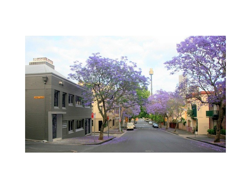 177 Cathedral Street, Woolloomooloo NSW 2011