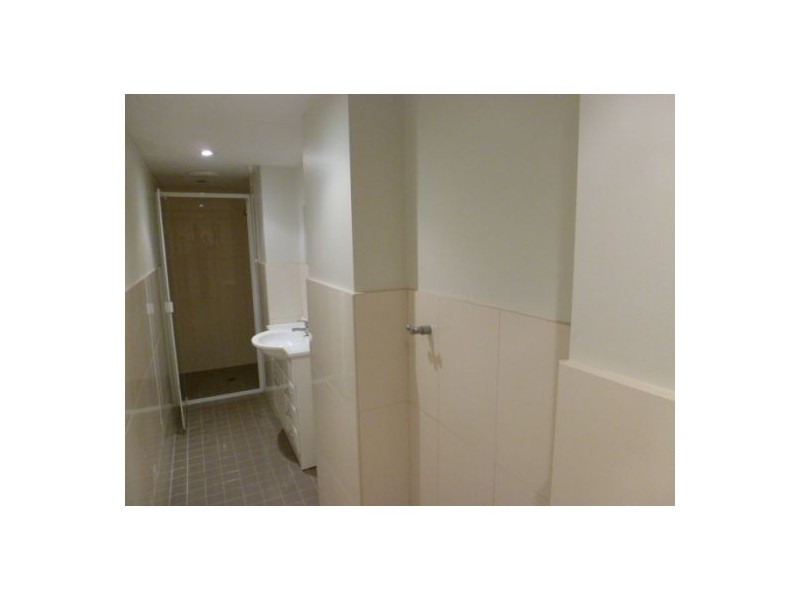 3/42 Carrington Rd, Randwick NSW 2031