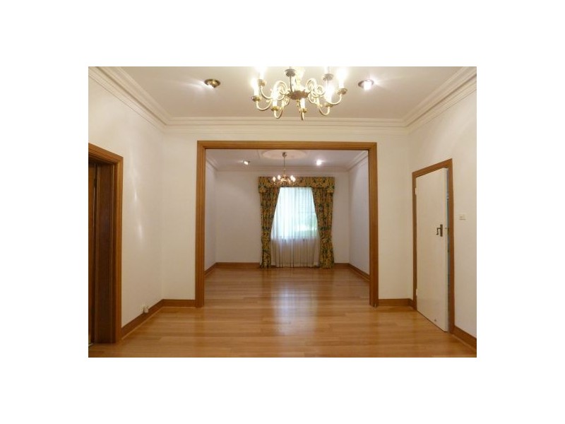 37 Earl Street, Randwick NSW 2031