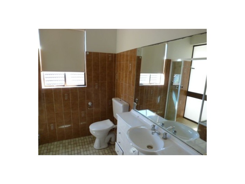 3/50 Warners Avenue, Bondi NSW 2026