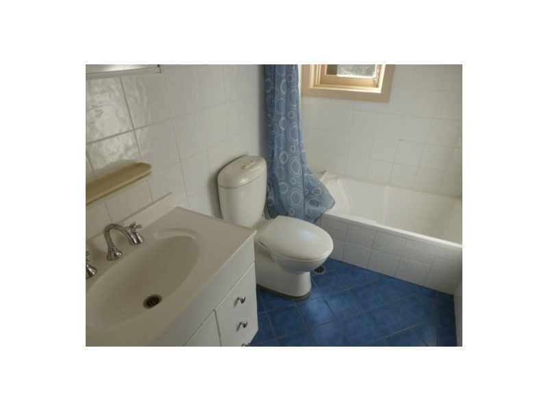 16 Gould Street, Bondi NSW 2026