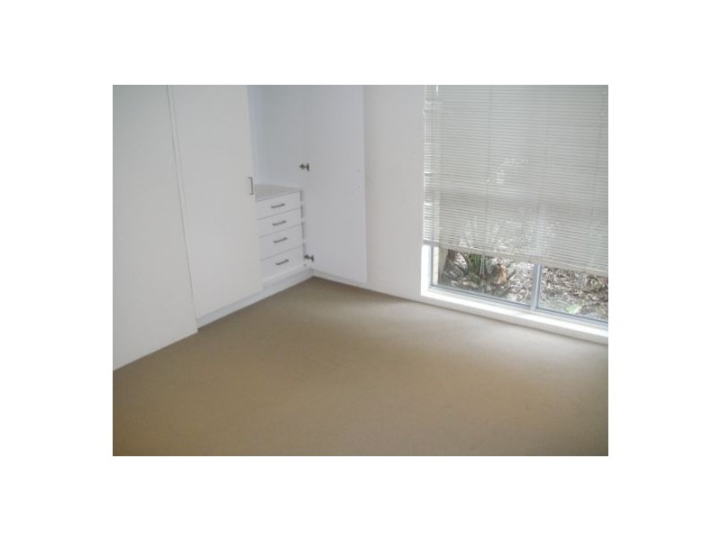 1/145 Blair St, Bondi Beach NSW 2026