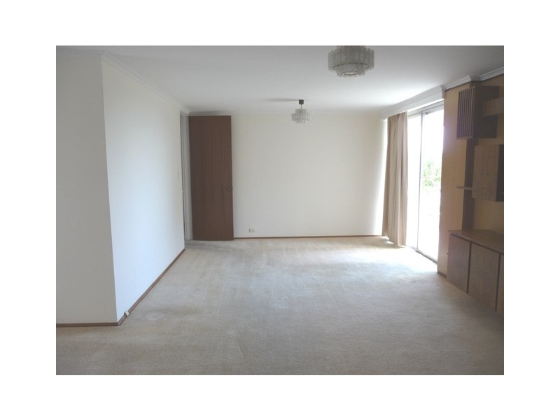 16/36 Penkivil Street, Bondi NSW 2026