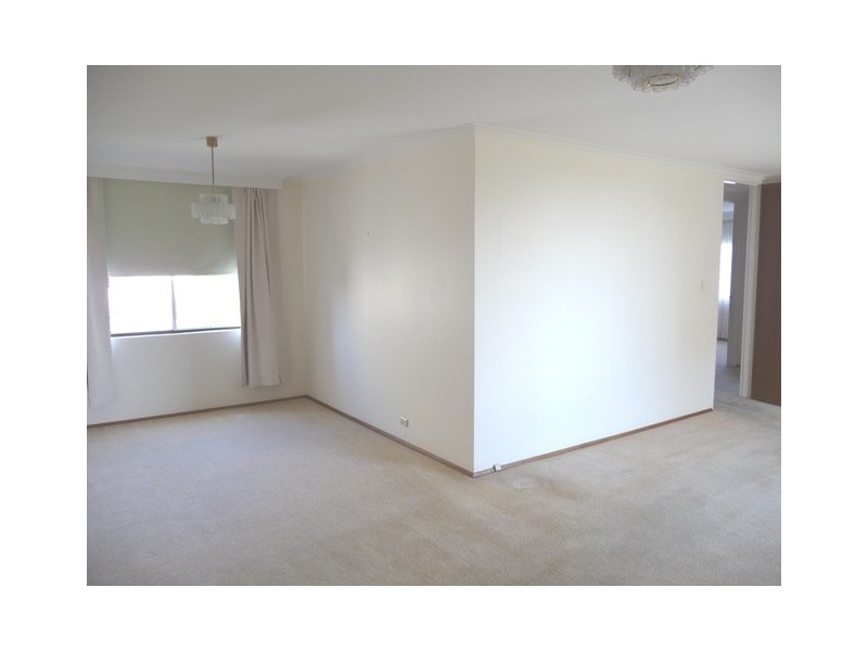 16/36 Penkivil Street, Bondi NSW 2026