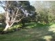 10d/3 Darling Point Rd, Darling Point NSW 2027