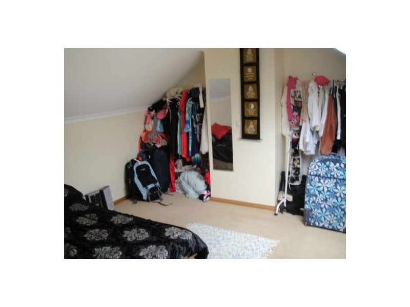 11 Brisbane Street, Bondi Junction NSW 2022