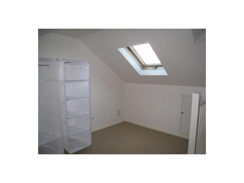 42 Wiley Street, Waverley NSW 2024