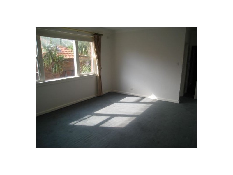 5/59 Moore Park Rd, Paddington NSW 2021