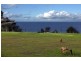 8/11 Isabel Ave, Vaucluse NSW 2030