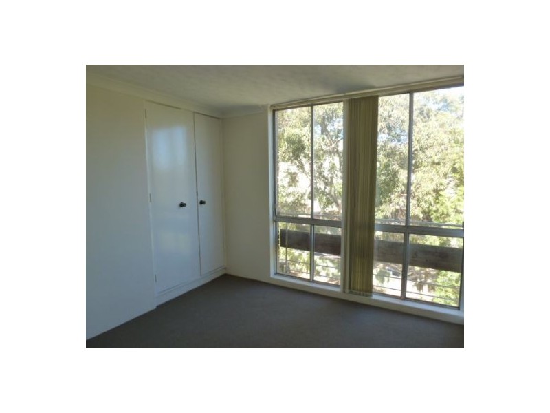 14/145 Blair Street, Bondi NSW 2026