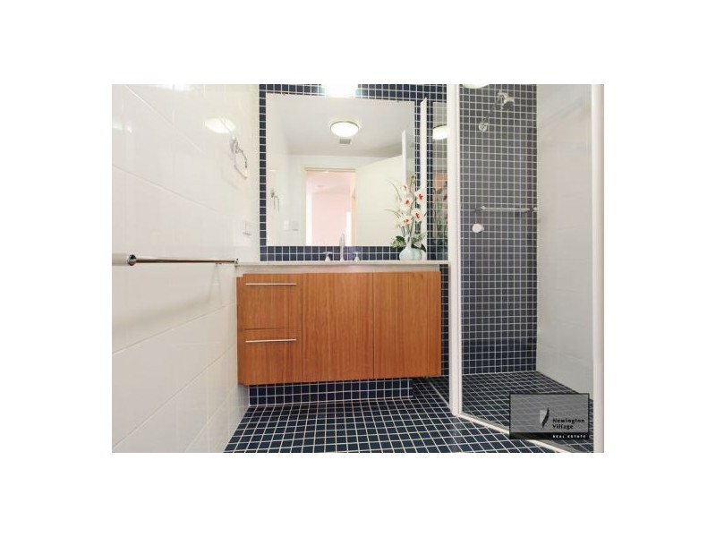 10/17 Blaxland Avenue, Newington NSW 2127