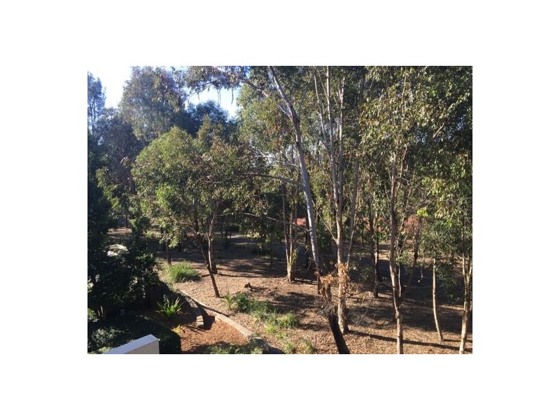 16/3 Owens Avenue, Newington NSW 2127