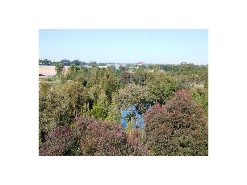 29/1 Owens Avenue, Newington NSW 2127