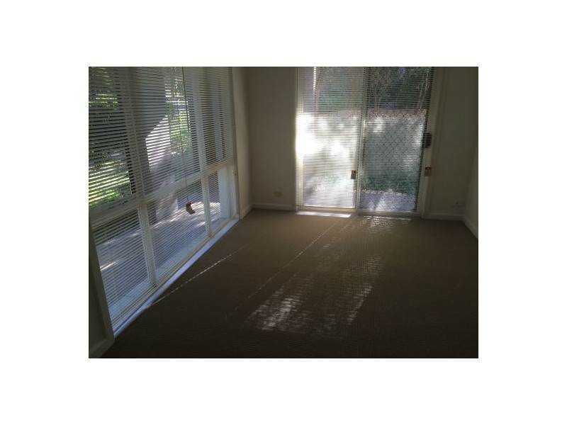 17 Wing Parade, Newington NSW 2127