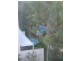 5/5 Nurmi Avenue, Newington NSW 2127