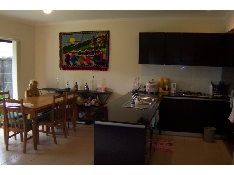 4 Ali Parade, Newington NSW 2127